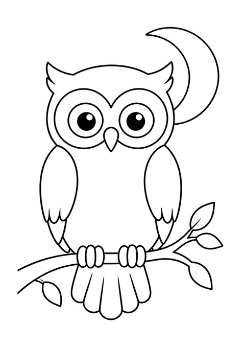 Owl at night coloring page