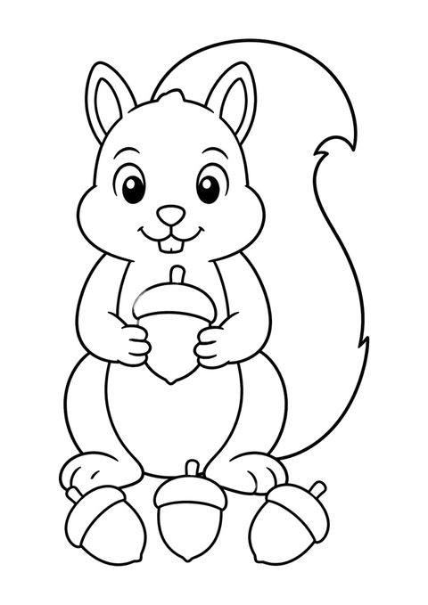 Squirrel with acorns coloring page