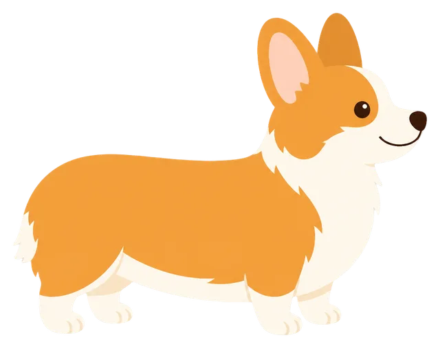 Corgi Side View