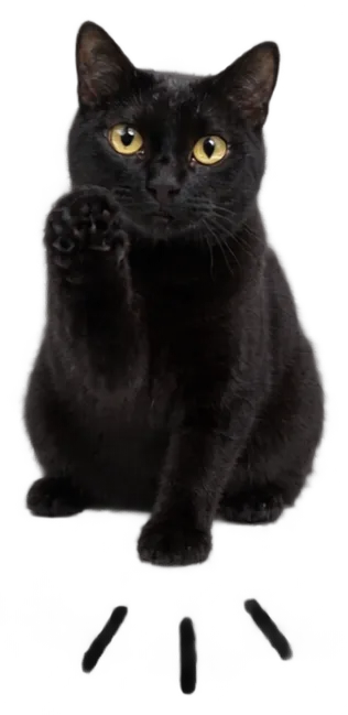 Black Cat Paw Raise With Burst Lines