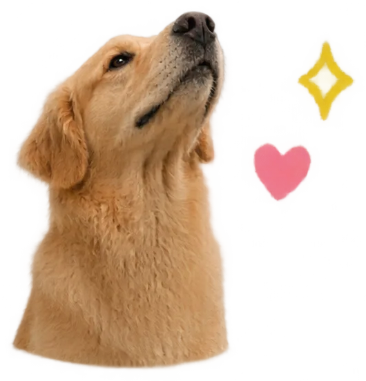 Retriever Angle Head Only High With Sparkle Heart