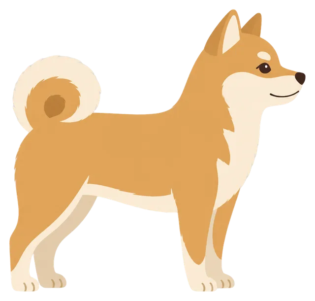 Shiba Side View