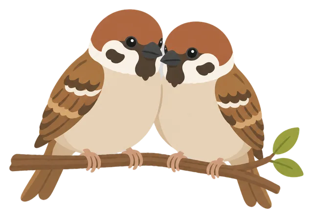 Sparrow Pair